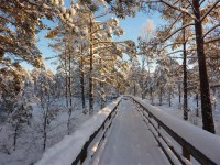 /album/fotogallerij/boardwalk-bij-samsjon-jpg/